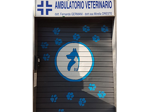 ambulatorio veterinario tirreno Roma