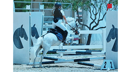 centro equestre Barone Cerveteri