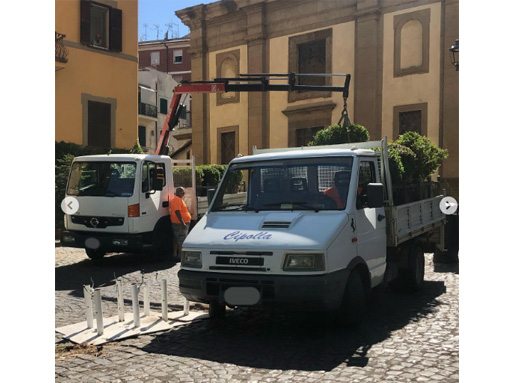 Cipolla Group Frascati