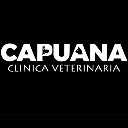 ambulatorio veterinario Capuana Roma