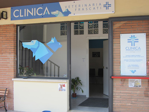 clinica veterinaria frascati