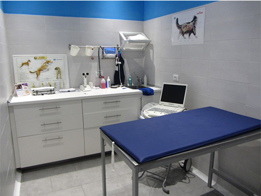 clinica veterinaria frascati