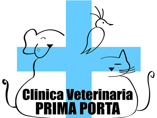 clinica veterinaria Prima Porta