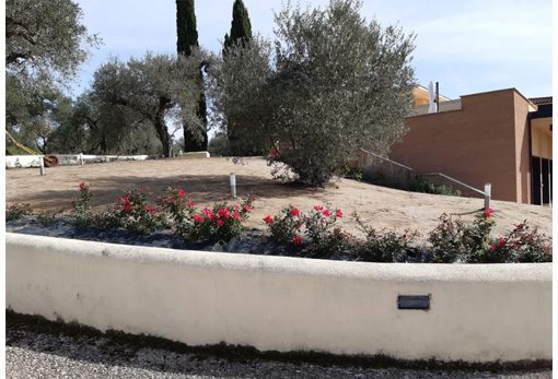 emiliano orsolini Monterotondo