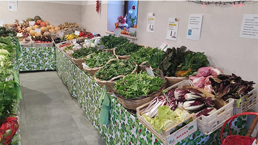 Azienda Agricola Le Meraviglie della Terra Velletri