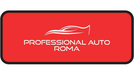 Professional auto Dragona