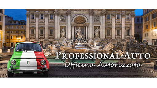 Professional auto Dragona