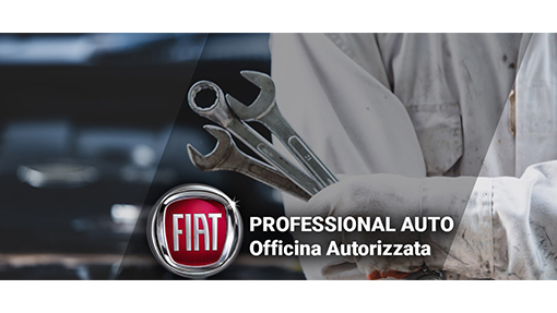 Professional auto Dragona