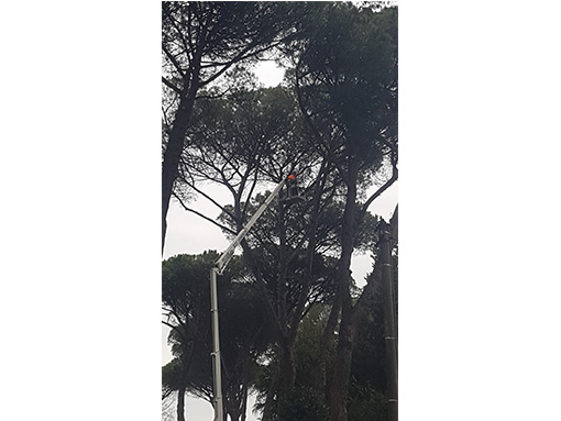 Sabatelli Multiservizi Mentana