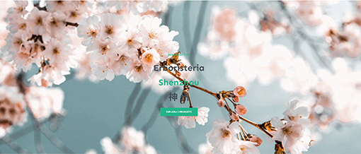 Erboristeria Shenzhou Termini