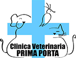 clinica veterinaria prima porta