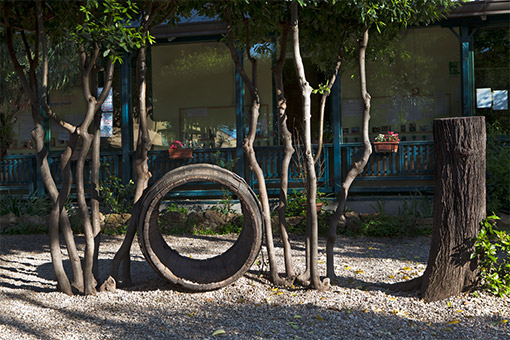 l'arcobalena roma zona circo massimo