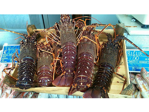 pescheria casal palocco