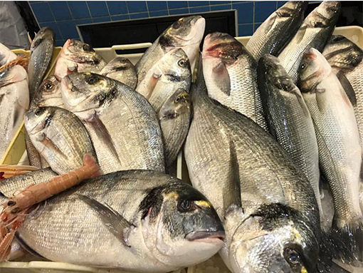 pescheria casal palocco