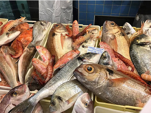 pescheria casal palocco