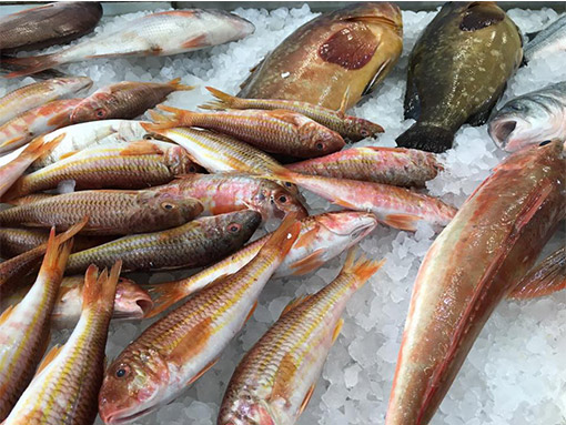 pescheria casal palocco