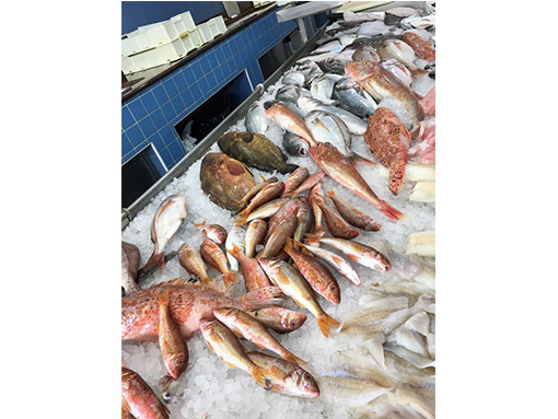 pescheria casal palocco
