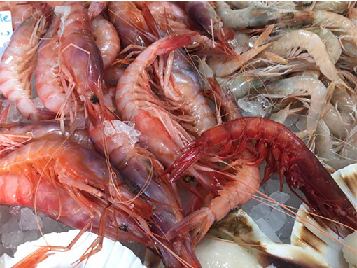 pescheria casal palocco