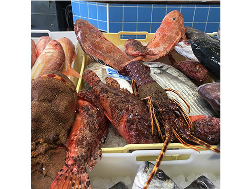 pescheria casal palocco