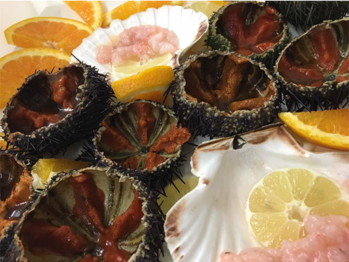 pescheria casal palocco