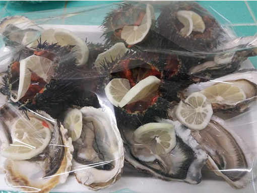 pescheria casal palocco