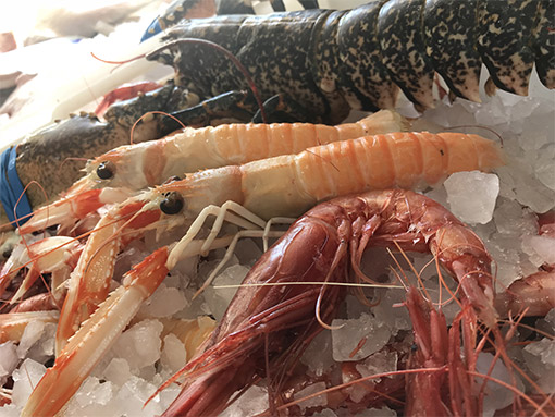 pescheria casal palocco