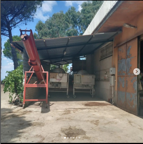 Azienda Agricola Pesoli Aiccia