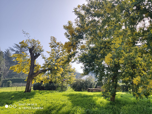 LTS Residenxe Relax Grottaferrata
