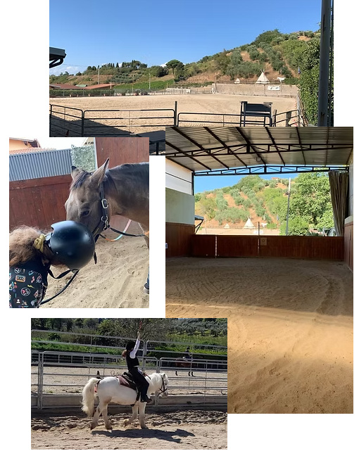 S. Marco Ranch Frascati