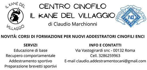 il kane del villaggio Roma