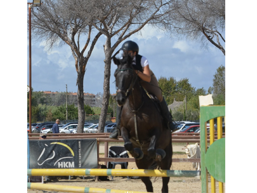 Lunghezzina Horse Academy Castelverde di Lunghezza