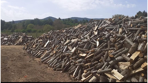 Quaresima Legnami Rocca Priora