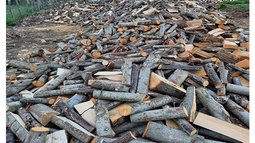 Quaresima Legnami Rocca Priora