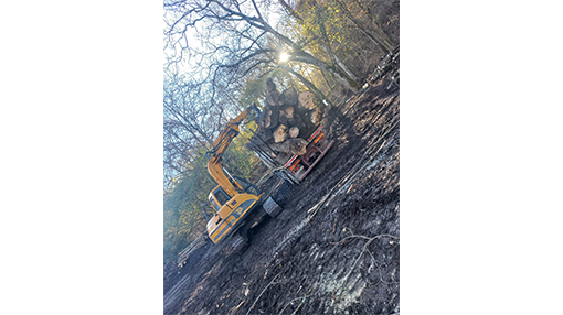 Quaresima Legnami Rocca Priora