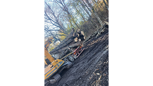 Quaresima Legnami Rocca Priora