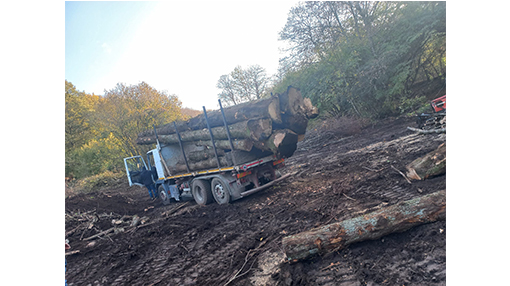 Quaresima Legnami Rocca Priora