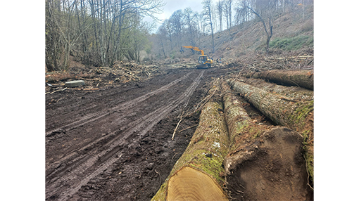 Quaresima Legnami Rocca Priora