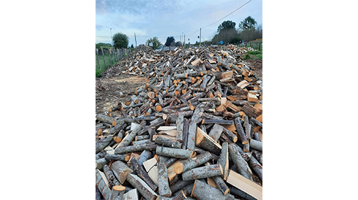 Quaresima Legnami Rocca Priora