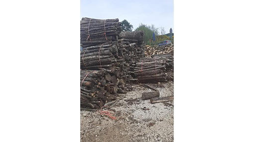 Quaresima Legnami Rocca Priora