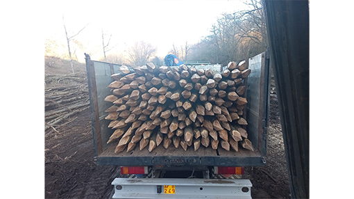 Quaresima Legnami Rocca Priora