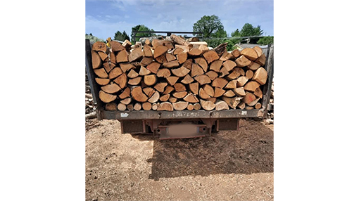 Quaresima Legnami Rocca Priora