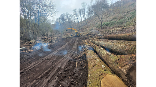 Quaresima Legnami Rocca Priora