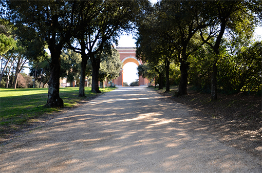 Scuola Divino Amore Monteverde