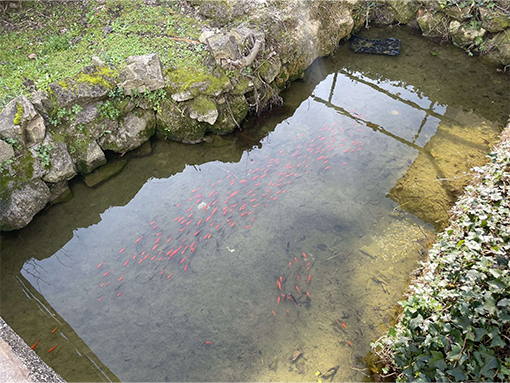 Villa Primavera Ottavia