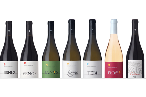 Cantina Spallotta Velletri