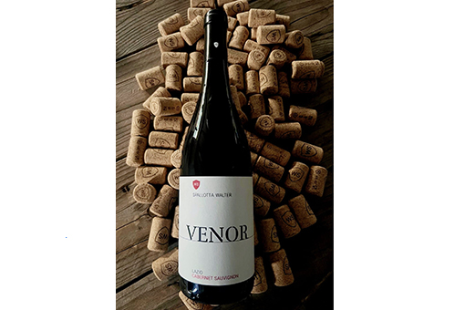 Cantina Spallotta Velletri