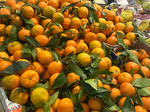 elite supermercato Lunghezza