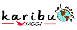 Karibu Viaggi
