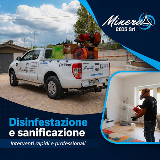 Minerva 2015 Formello