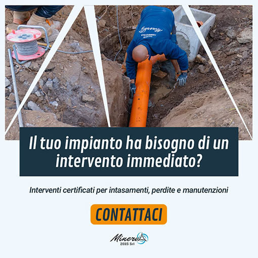 Minerva 2015 Formello